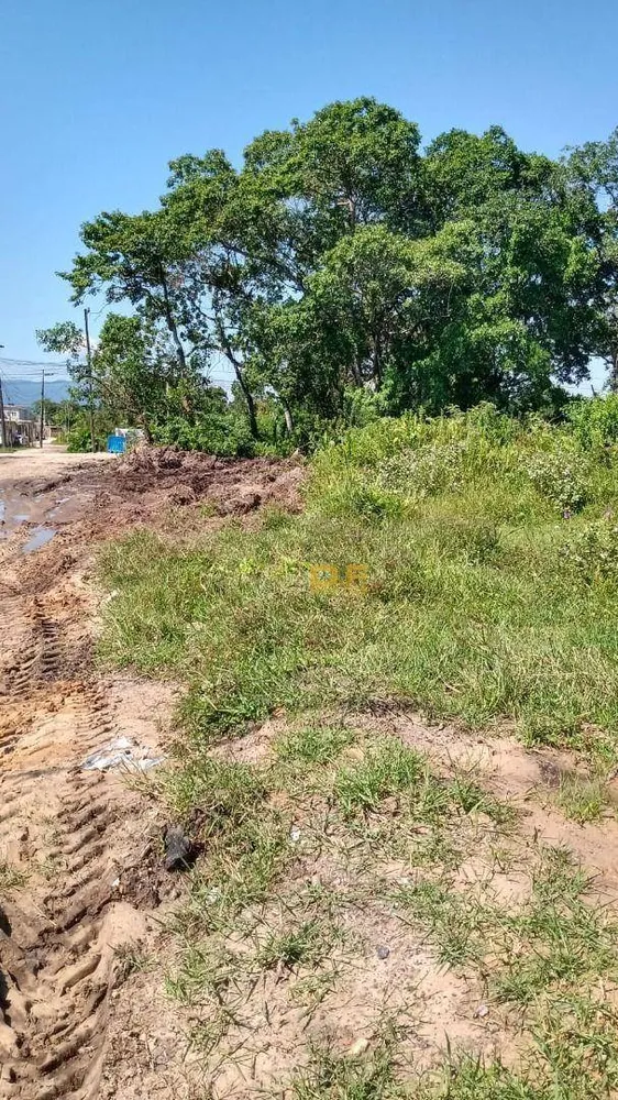 Terreno, 250 m² - Foto 3