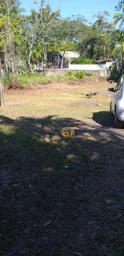 Chácara, 2 quartos, 3000 m² - Foto 2