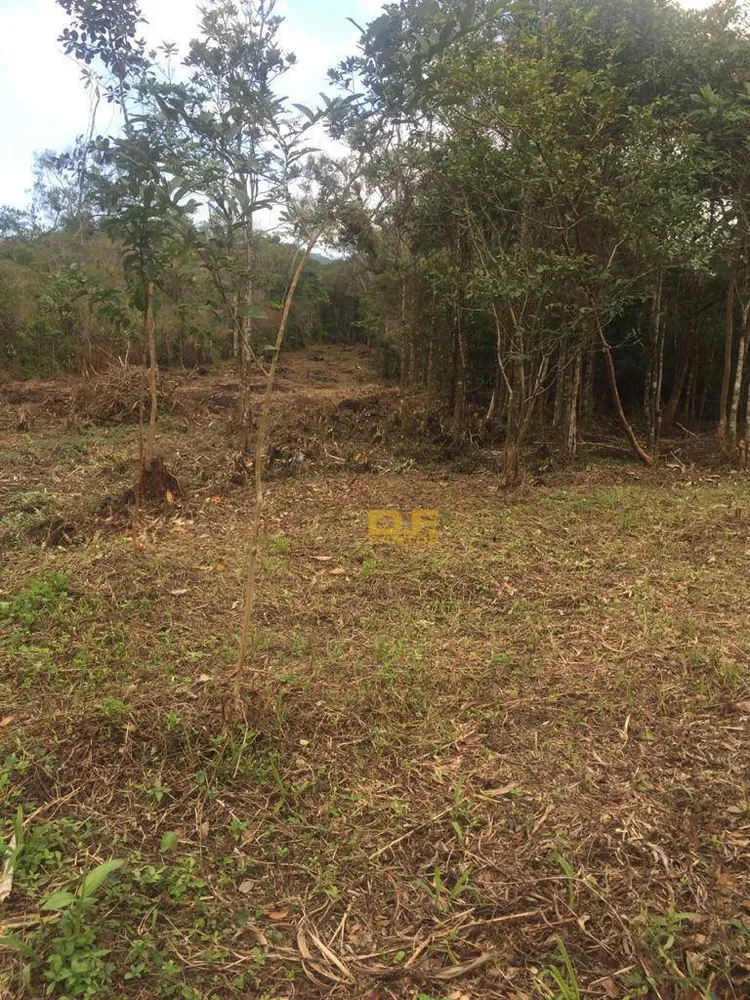 Terreno, 260 m² - Foto 1