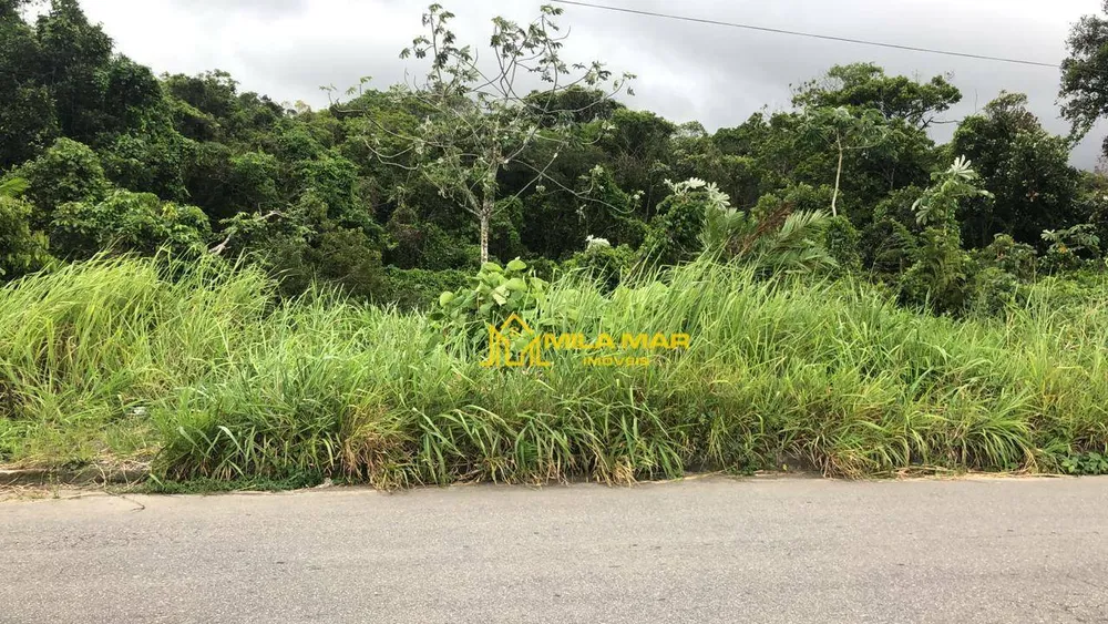 Terreno, 300 m² - Foto 1