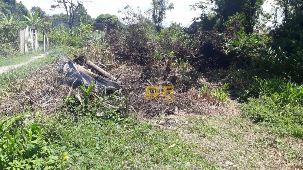 Terreno, 300 m² - Foto 2