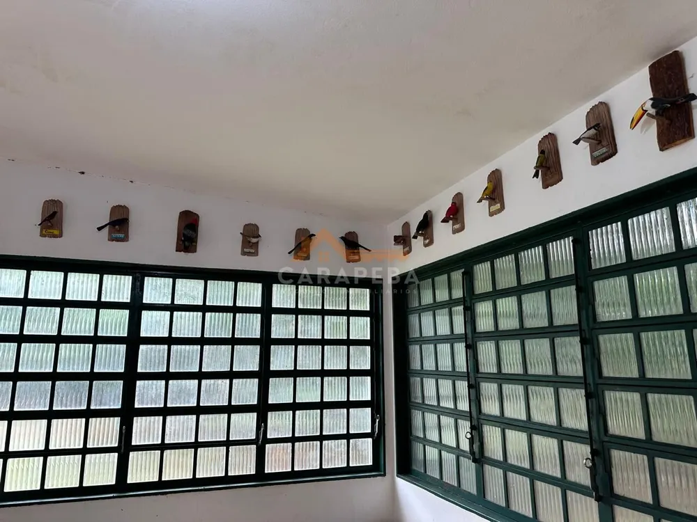 Chácara, 3 quartos, 1 hectares - Foto 12