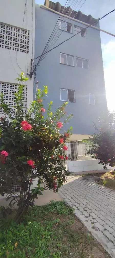 Apartamento, 4 quartos - Foto 6