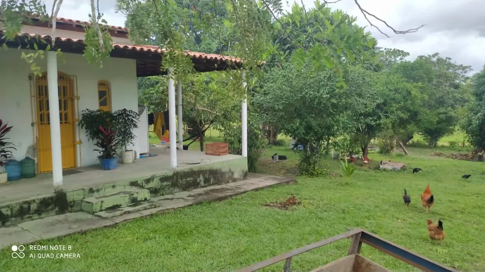 Chácara, 2 quartos, 2 hectares - Foto 10