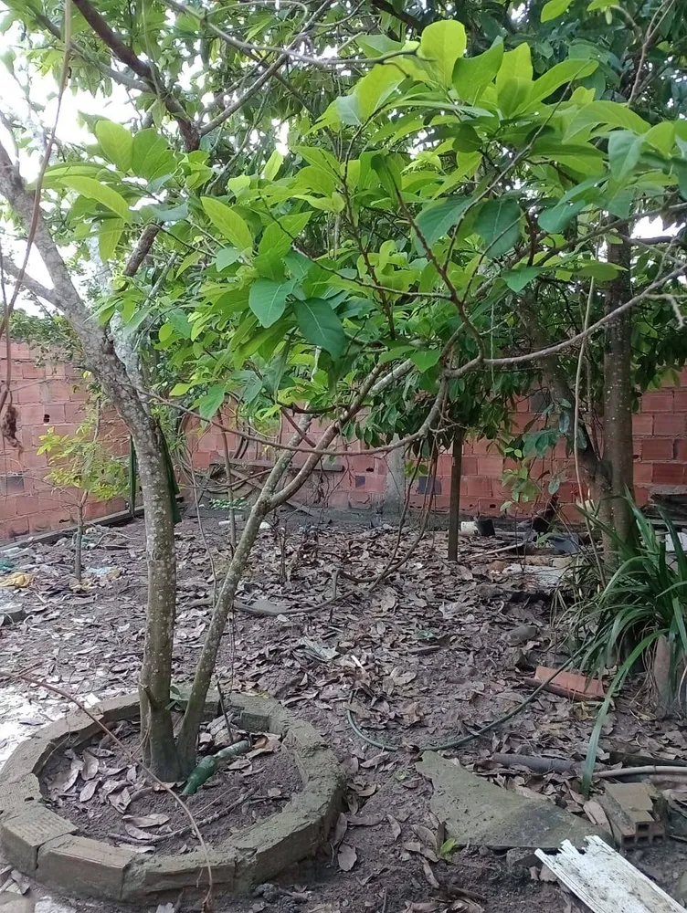Casa, 2 quartos - Foto 12