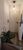Apartamento, 3 quartos - Foto 4