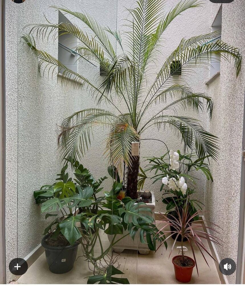 Casa, 2 quartos, 75 m² - Foto 5