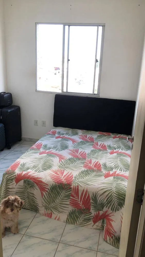 Apartamento, 3 quartos - Foto 7