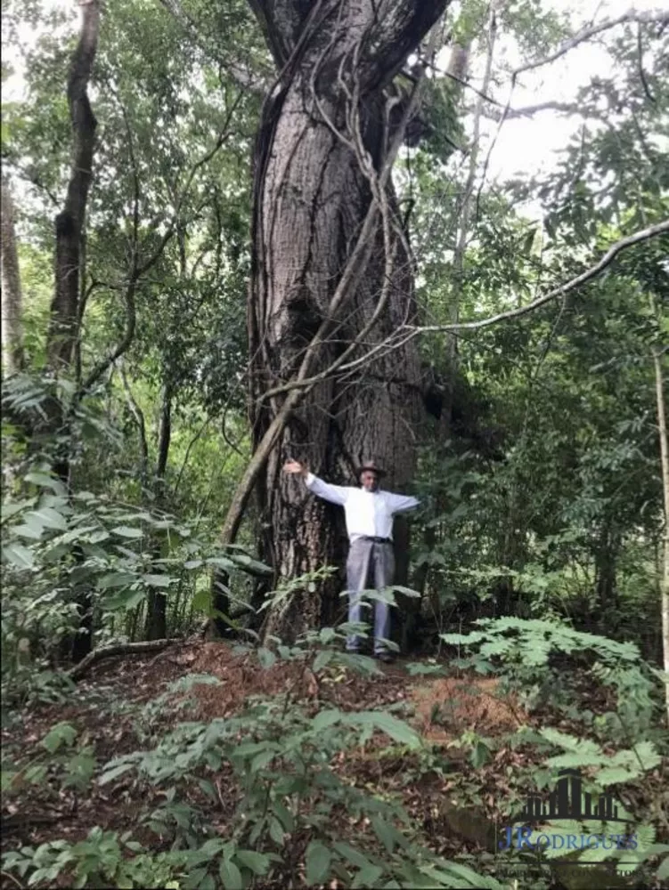 Fazenda à venda com 3 quartos, 1110m² - Foto 5