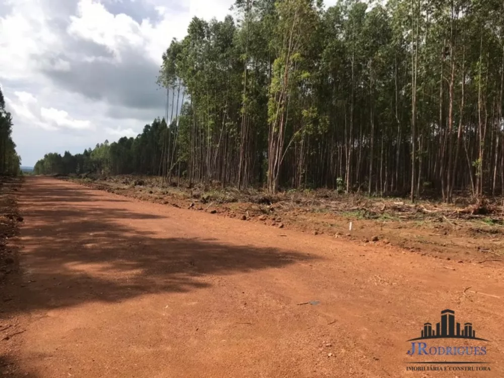 Fazenda à venda com 3 quartos, 1110m² - Foto 7