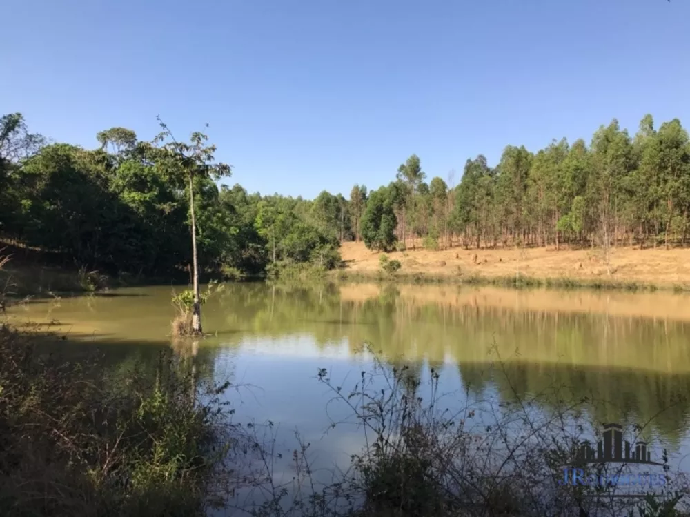 Fazenda à venda com 3 quartos, 1110m² - Foto 4