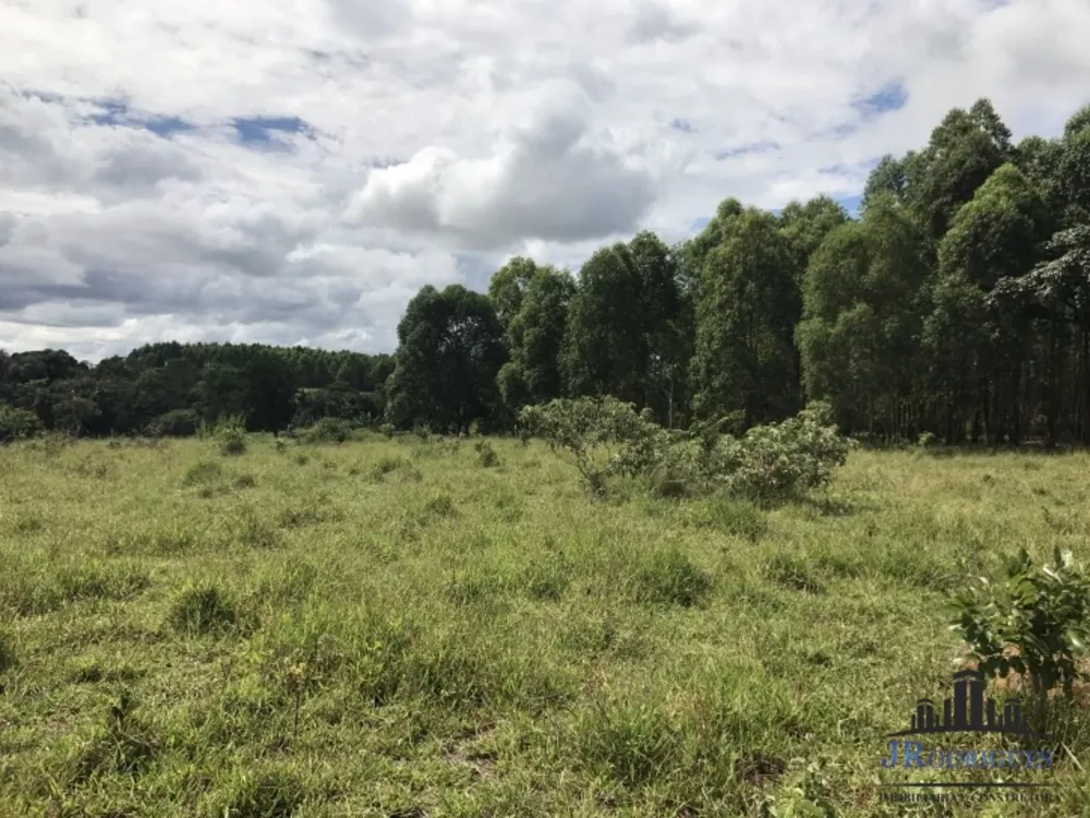 Fazenda à venda com 3 quartos, 1110m² - Foto 6