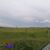 Terreno, 47 hectares - Foto 2
