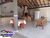Casa, 4 quartos, 318 m² - Foto 10