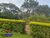 Casa, 5 quartos, 10000 m² - Foto 2