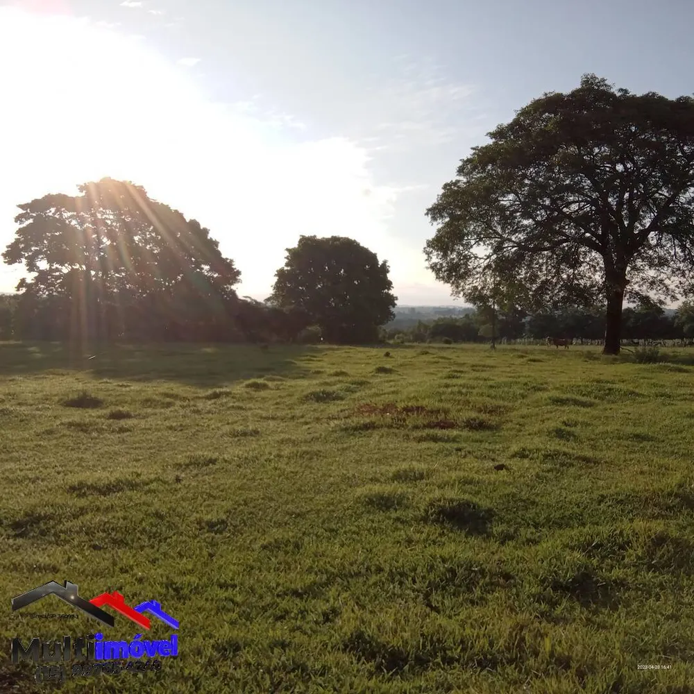 Terreno, 2 hectares - Foto 6