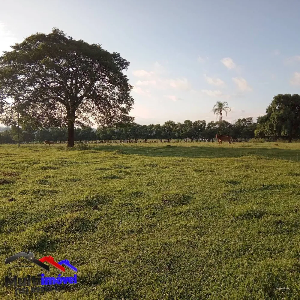 Terreno, 2 hectares - Foto 2