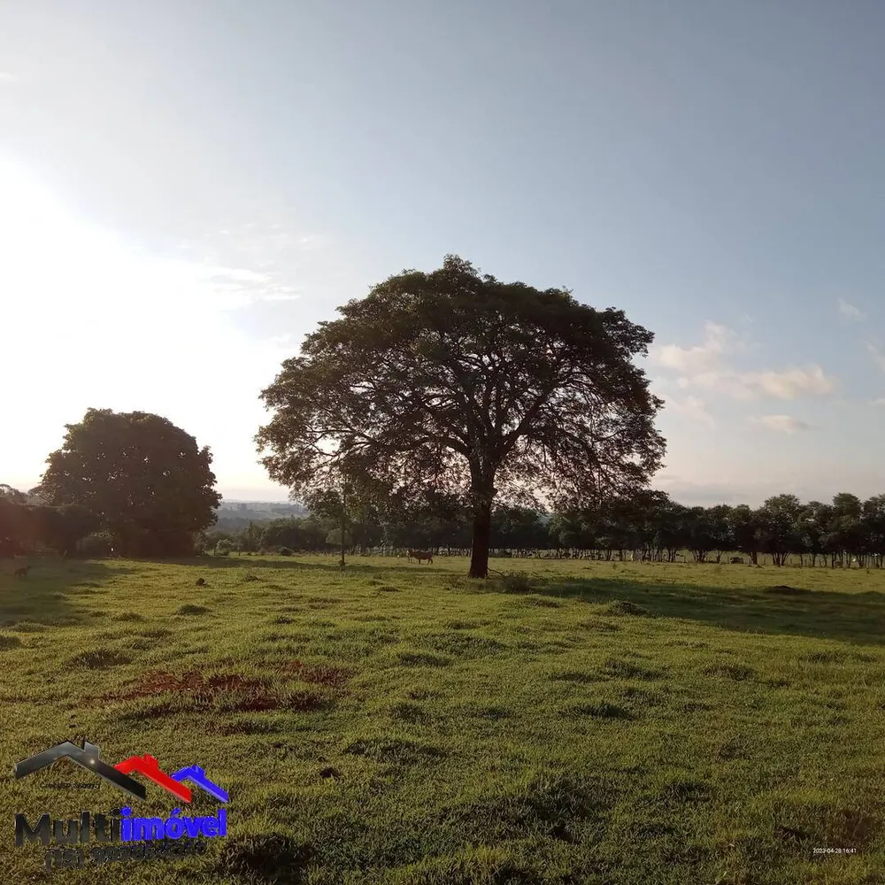 Terreno, 2 hectares - Foto 7