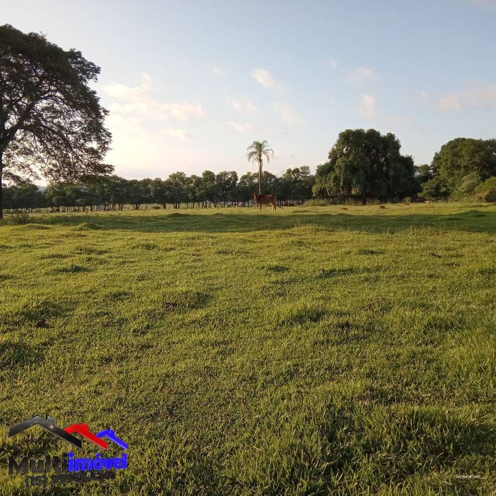 Terreno à venda, 18000m² - Foto 4