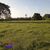 Terreno, 2 hectares - Foto 4