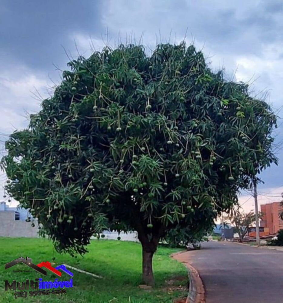 Terreno, 883 m² - Foto 3