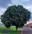 Terreno, 883 m² - Foto 3