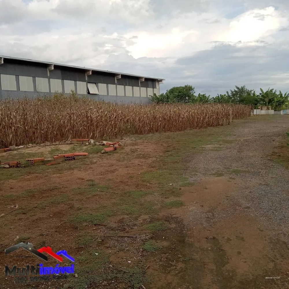 Terreno, 3300 m² - Foto 5