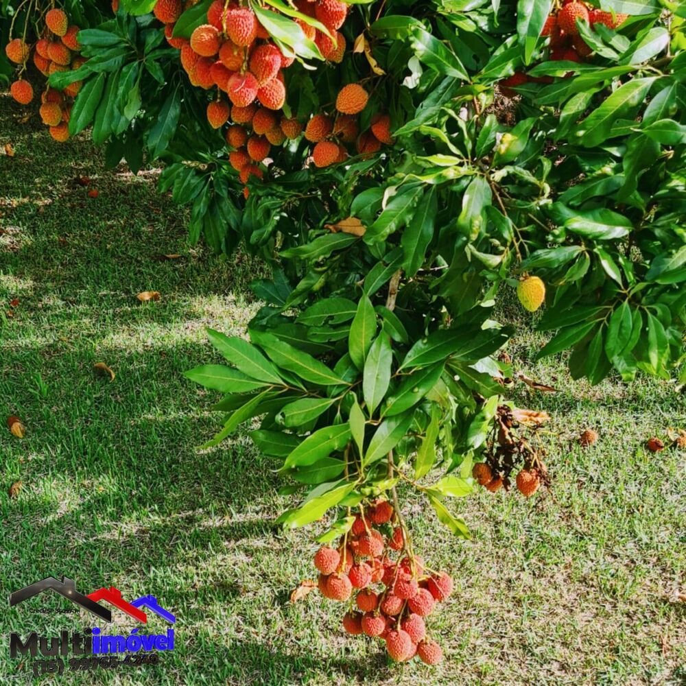 Chácara, 4 quartos, 1700 m² - Foto 4