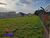 Terreno, 1000 m² - Foto 2