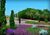 Terreno, 250 m² - Foto 3