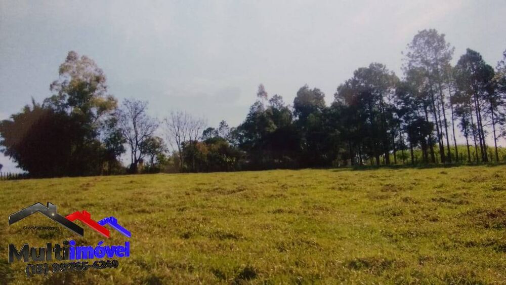 Chácara, 3 quartos, 2 hectares - Foto 3