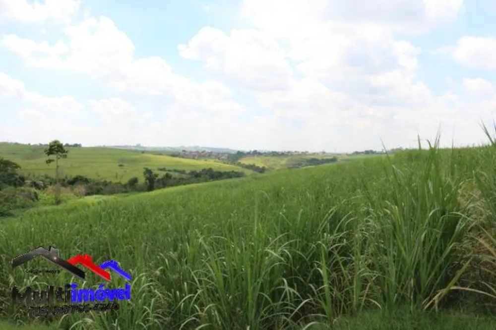 Terreno, 12 hectares - Foto 9