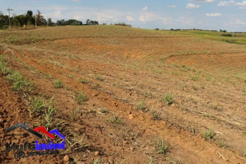 Terreno, 12 hectares - Foto 8