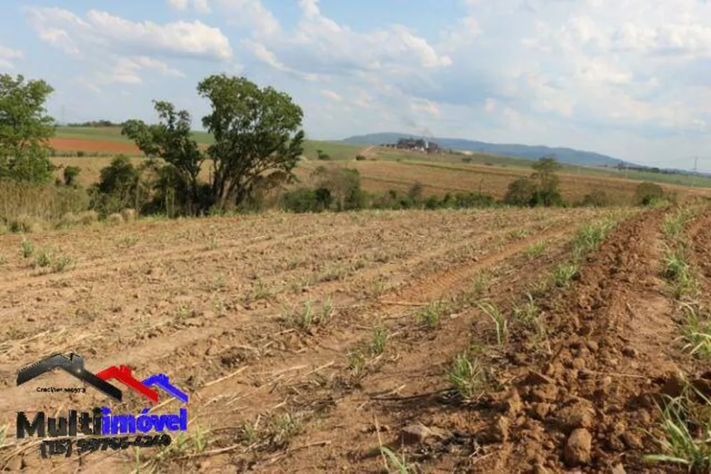 Terreno, 12 hectares - Foto 15