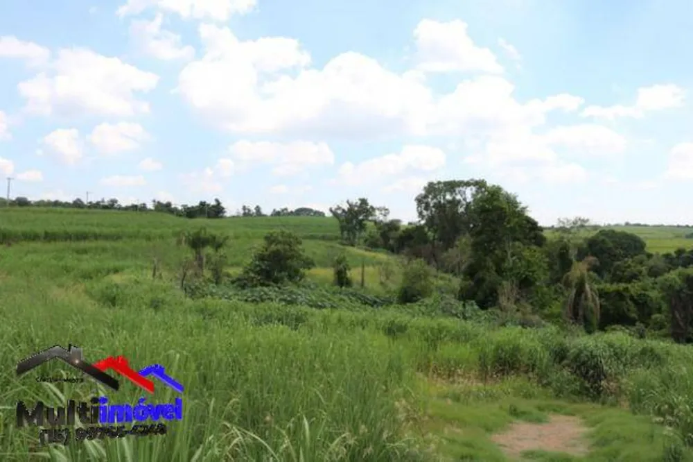 Terreno, 12 hectares - Foto 6