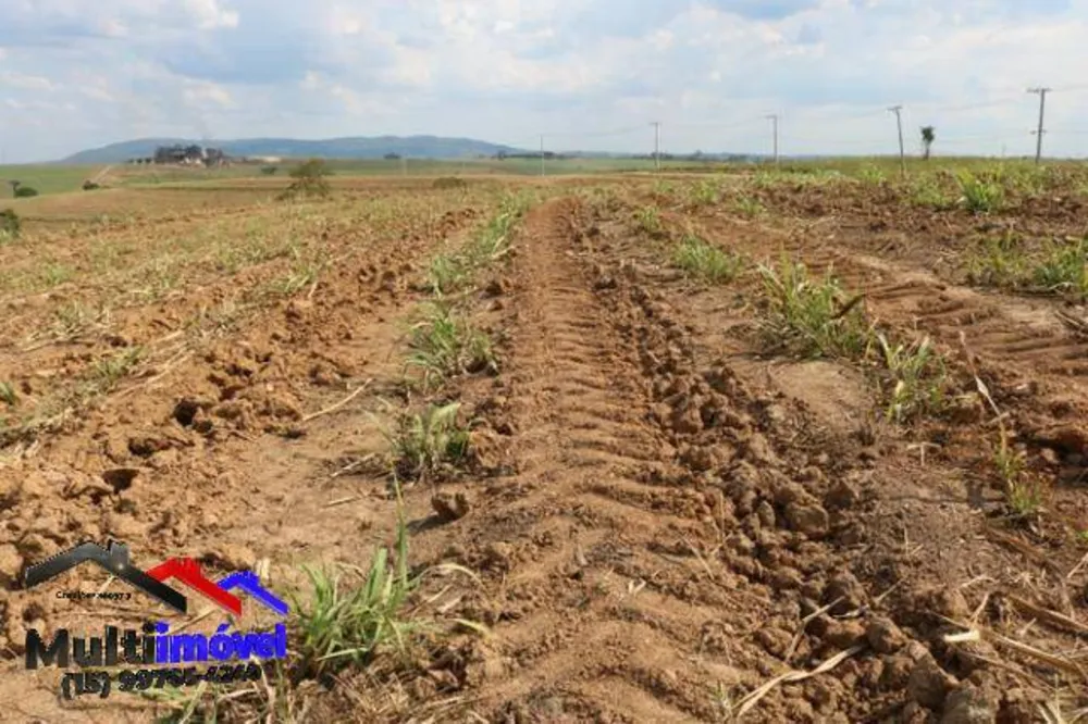 Terreno, 12 hectares - Foto 12