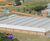 Depósito-Galpão, 5000 m² - Foto 4