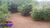 Terreno, 326 m² - Foto 3