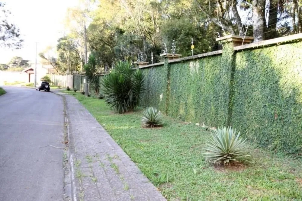 Terreno - Foto 4