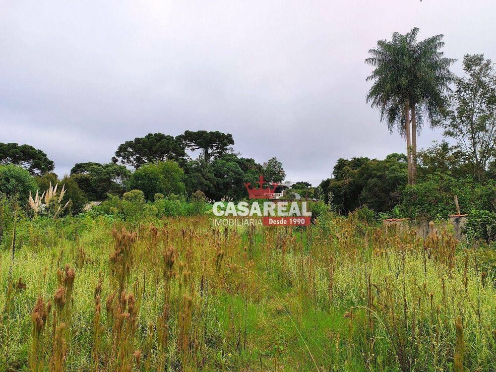 Terreno, 2484 m² - Foto 2