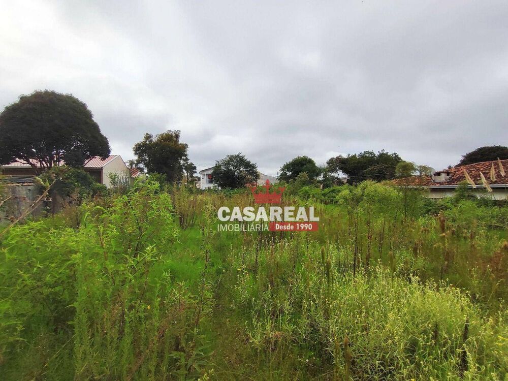 Terreno, 2484 m² - Foto 3