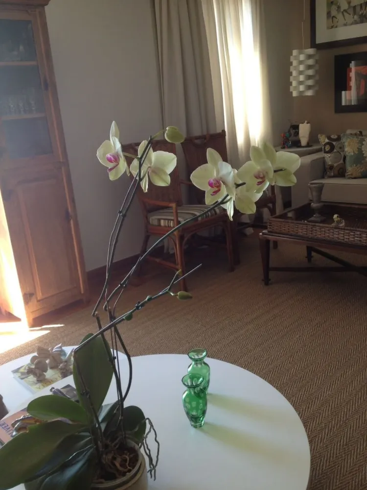 Apartamento, 2 quartos, 154 m² - Foto 6