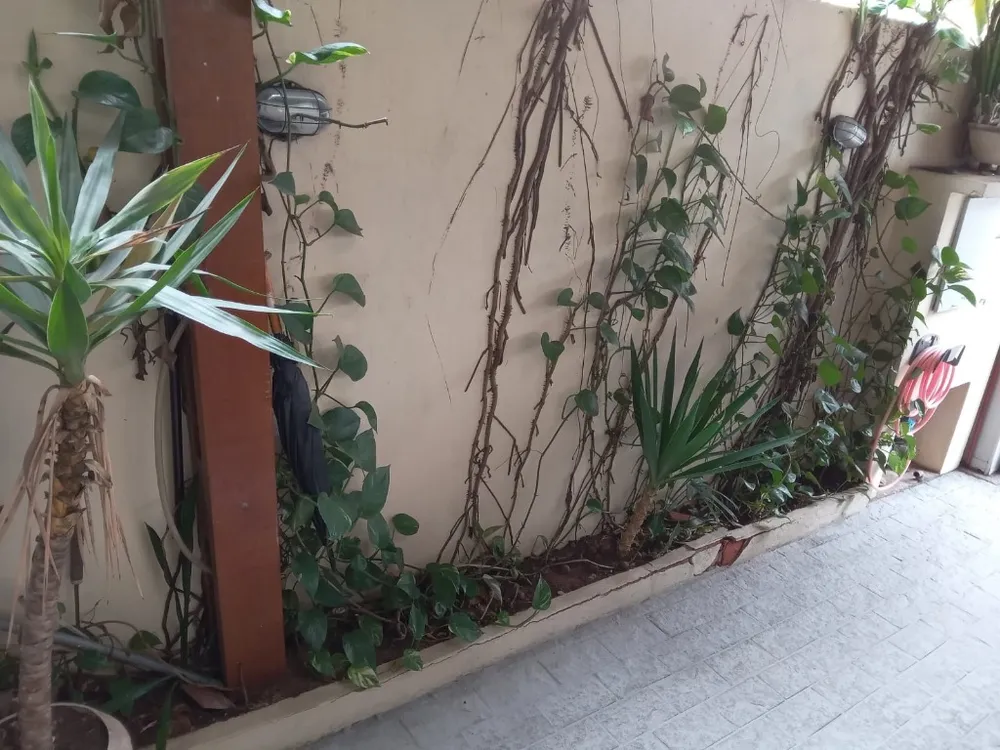 Casa, 3 quartos, 124 m² - Foto 9