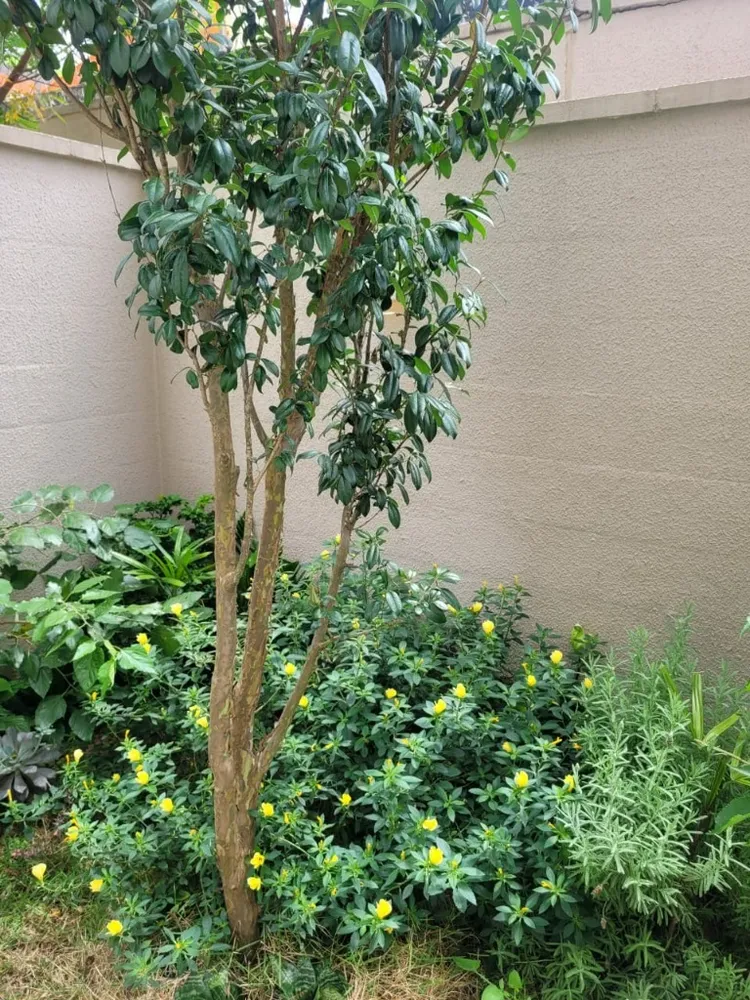 Apartamento, 3 quartos, 103 m² - Foto 3