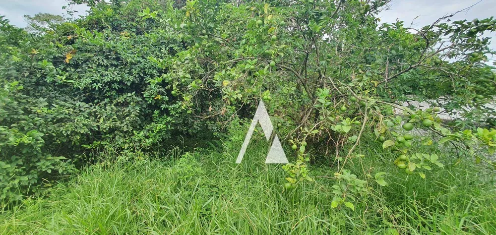 Terreno, 600 m² - Foto 3