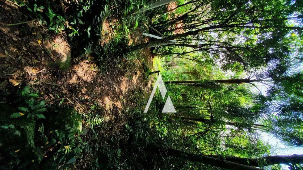 Terreno, 3418 m² - Foto 14