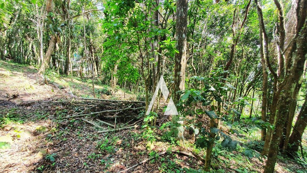 Terreno, 3418 m² - Foto 31