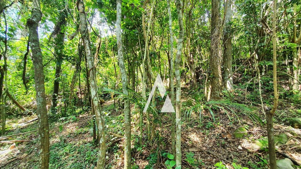 Terreno, 3418 m² - Foto 29