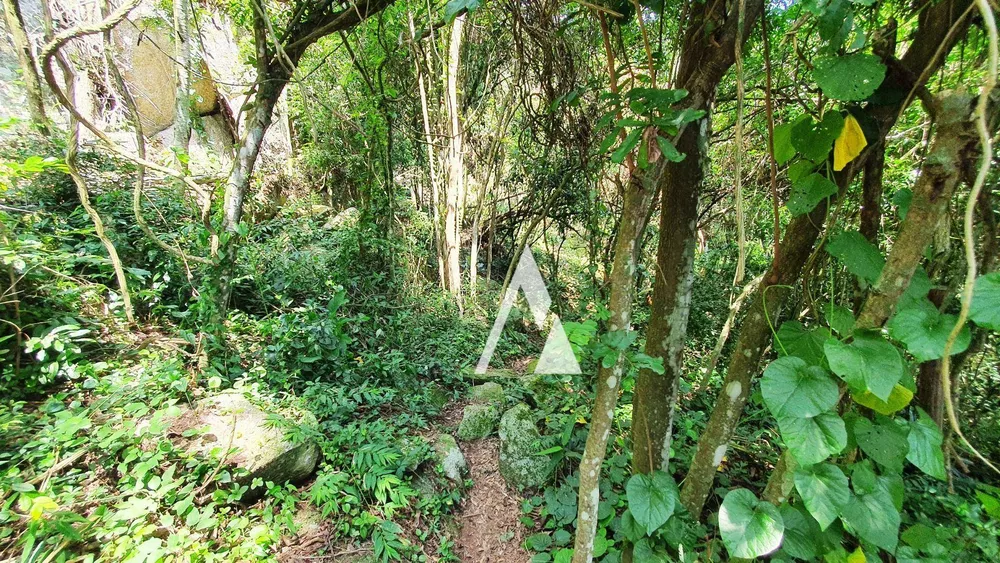 Terreno, 3418 m² - Foto 19