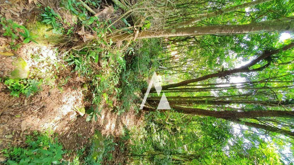 Terreno, 3418 m² - Foto 15